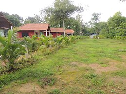 Jungle Nest Homestay