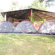 Jungle Nest Homestay