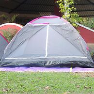 Jungle Nest Homestay