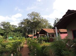 Jungle Nest Homestay