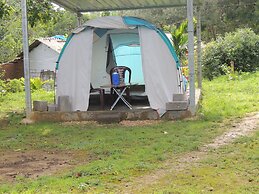 Jungle Nest Homestay