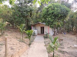 Jungle Nest Homestay