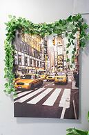 Costa Marbella Star Light