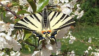 Il Nascondiglio - The Hideaway