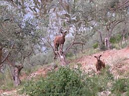 Agriturismo Istrice Innamorato