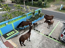 The Vieques Guesthouse
