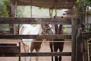 Sweet Songs Jungle Lodge, a Muy’Ono Resort