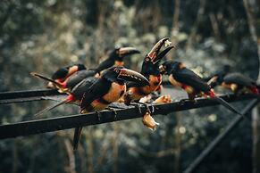 Sweet Songs Jungle Lodge, a Muy’Ono Resort
