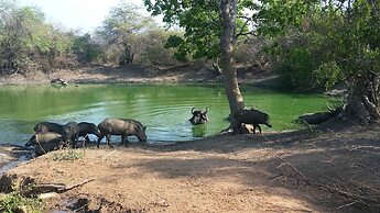 Yala Avian Eye Safari
