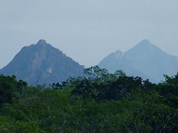Yala Avian Eye Safari