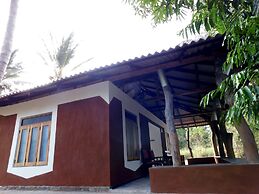 Yala Avian Eye Safari