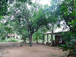 Yala Avian Eye Safari