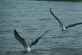 Yala Avian Eye Safari