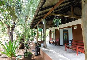 Yala Avian Eye Safari