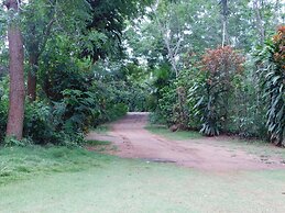 Yala Avian Eye Safari