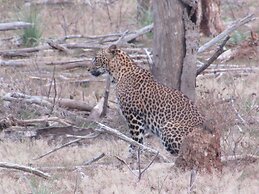 Yala Avian Eye Safari