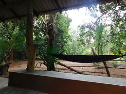 Yala Avian Eye Safari