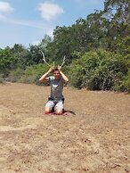 Yala Avian Eye Safari