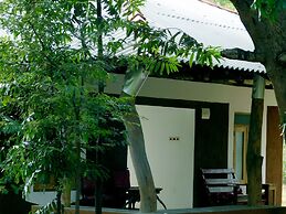 Yala Avian Eye Safari