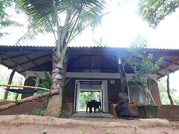 Yala Avian Eye Safari