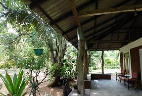 Yala Avian Eye Safari