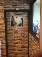 Japan Countryside HAKONE B&B