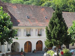La Maison des Fontaines D'alsace