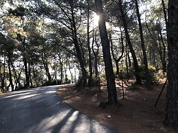 Hermes Hotel Özdere