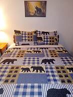 Evening Shade River Lodge and Cabins