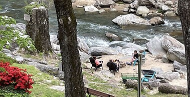 Evening Shade River Lodge and Cabins