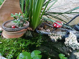 Ahuzat Shaul - Studio