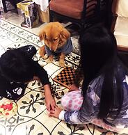 Baan Somlim Homestay - Hostel