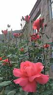 Guest house in Alaverdi