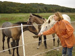 Kerca Bio Farm