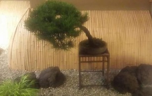 Akakura Onsen Hotel Korakuso