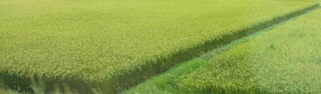 Akakura Onsen Hotel Korakuso