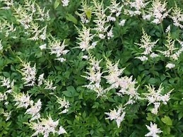 Akakura Onsen Hotel Korakuso