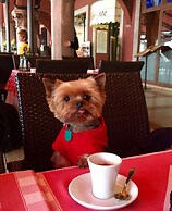 ART Garden Towers Prague