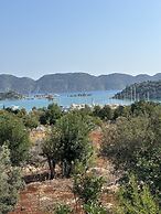 Telemen'in Evi Pansiyon