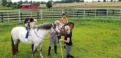 The Manor at Courtland Farm