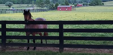 The Manor at Courtland Farm