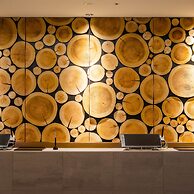 SUPERHOTEL Premier GINZA