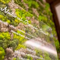 SUPERHOTEL Premier GINZA