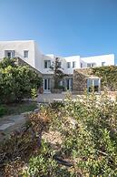 Villa Aphrodite sunkissed MykonianLuxury