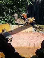 Original Sicily House