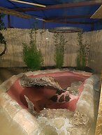 Original Sicily House