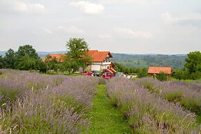 apartmani lavanda