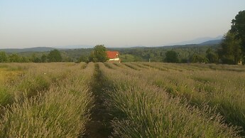 apartmani lavanda