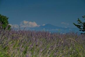 apartmani lavanda