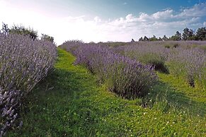 apartmani lavanda